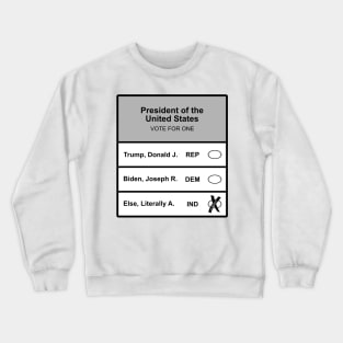 Literally Anybody Else 2024 President Donald Trump Joe Biden Crewneck Sweatshirt